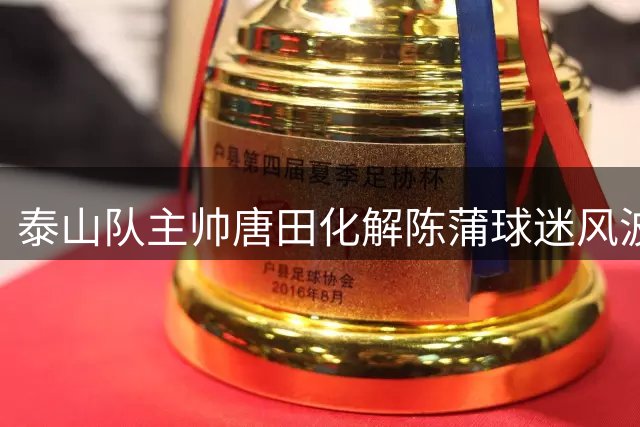 泰山队主帅唐田化解陈蒲球迷风波，新援传闻引关注