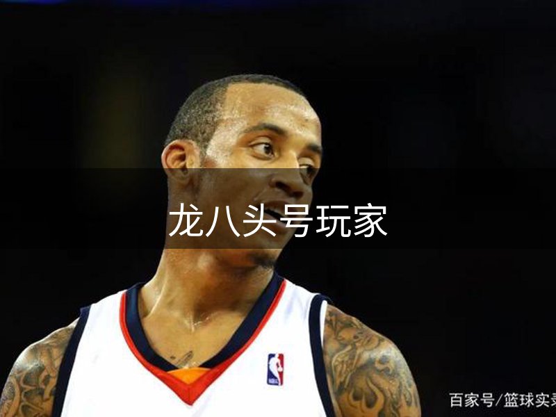 龙八头号玩家概况